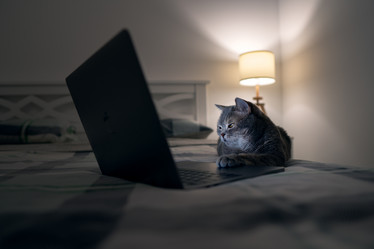 Similar image 21273979