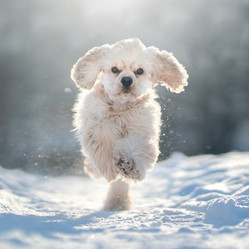 Similar image 21273980