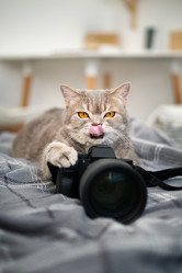 Similar image 21274077