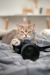 Similar image 21274079