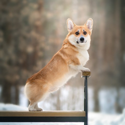 Similar image 21274082