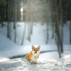 Similar image 21274111