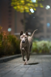 Similar image 21274112