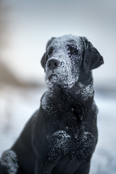 Similar image 21274113