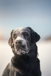 Similar image 21274353