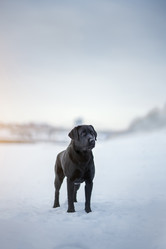 Similar image 21274354