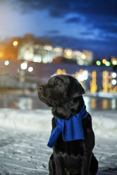 Similar image 21274355