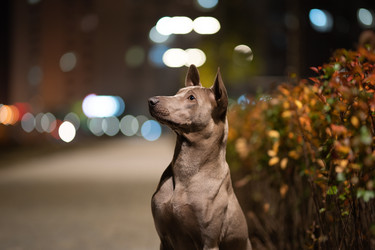 Similar image 21274358