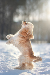 Similar image 21274367