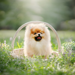 Similar image 21268951