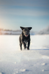 Similar image 21269831