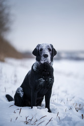 Similar image 21269832