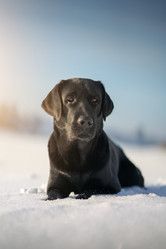 Similar image 21269833