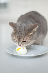 Similar image 21269839