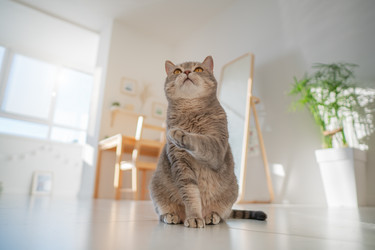 Similar image 21269840