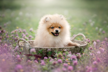 Similar image 21269841