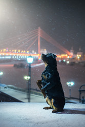 Similar image 21269842