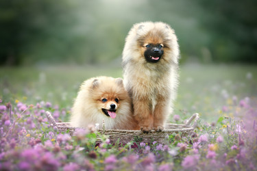 Similar image 21269843