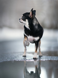 Similar image 21269844