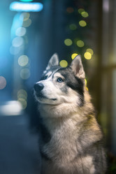 Similar image 21269845