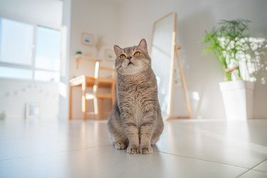 Similar image 21269852