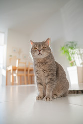 Similar image 21269854