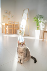 Similar image 21269855