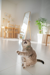 Similar image 21269856