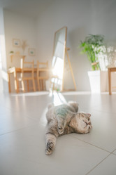 Similar image 21269857