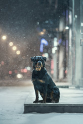 Similar image 21269859