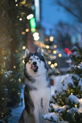 Similar image 21269861