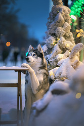 Similar image 21269869