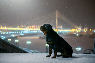 Similar image 21270082