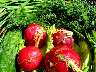 Similar image 21277597