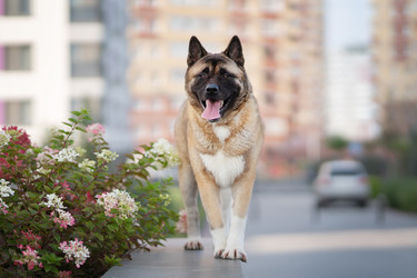 Similar image 21270090