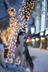 Similar image 21270093