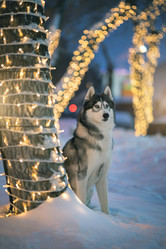 Similar image 21270099