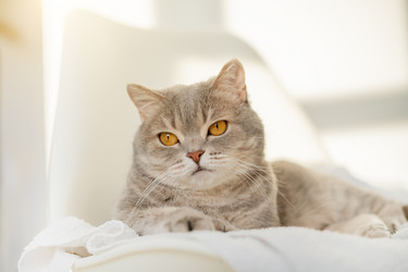 Similar image 21273982