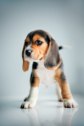 Similar image 21273984