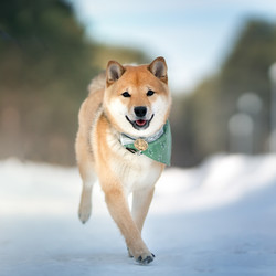 Similar image 21273985