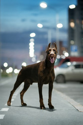 Similar image 21273986