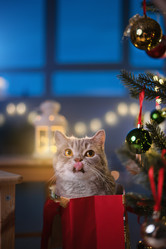 Similar image 21273987