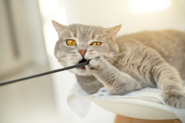 Similar image 21273988