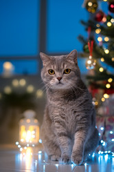 Similar image 21273989