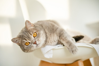 Similar image 21273990