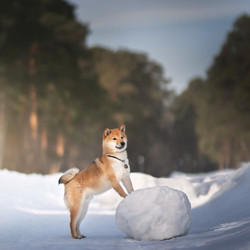 Similar image 21273991