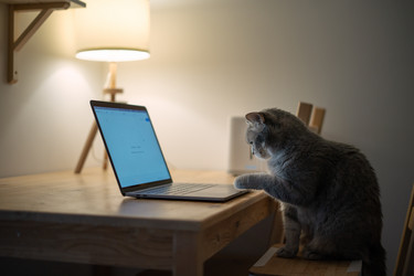 Similar image 21274083