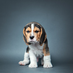 Similar image 21274084