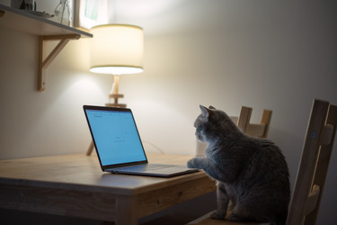 Similar image 21274085