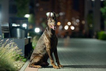 Similar image 21274086